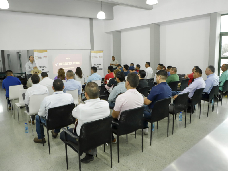 Imagen 2